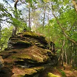 Ferienwohnung Auf Dem Ponyhof Direkt Am Klingbachrad- Und Spazierweg