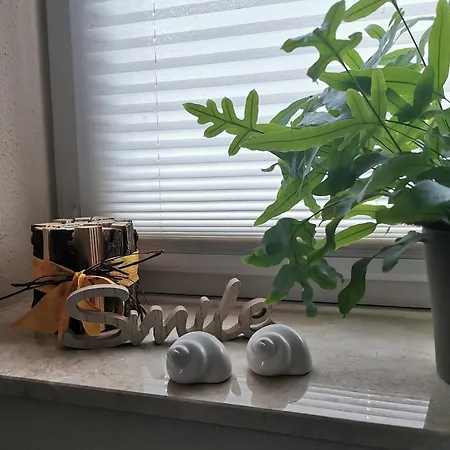 Appartement Schnegge-eck Direkt Am Klingbachrad- Und Spazierweg *