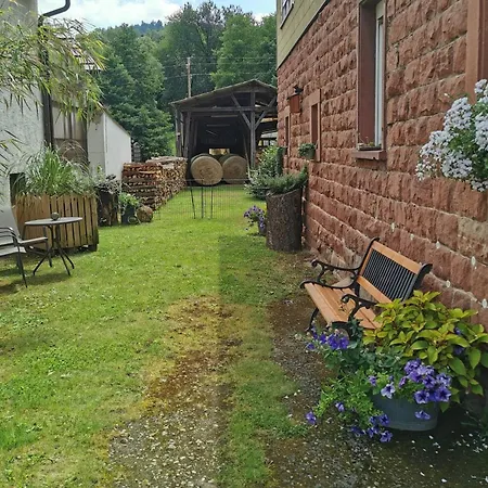 Ferienwohnung Auf Dem Ponyhof Direkt Am Klingbachrad- Und Spazierweg アパート