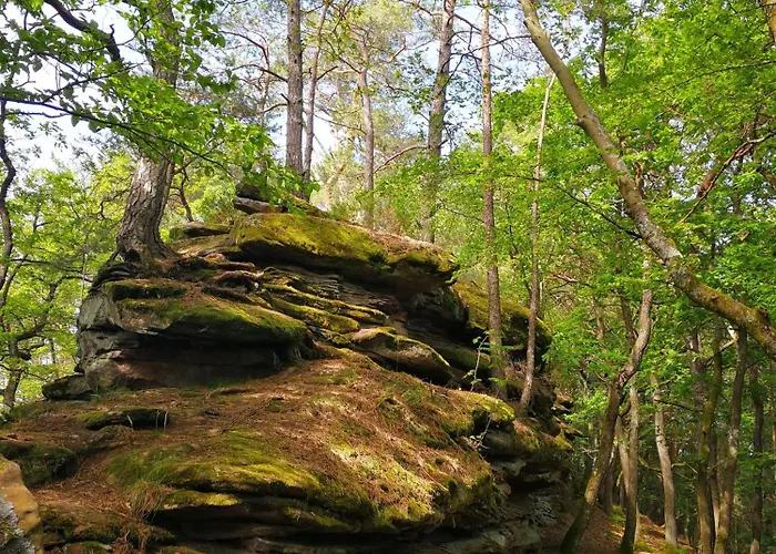 Schnegge-eck Direkt Am Klingbachrad- Und Spazierweg