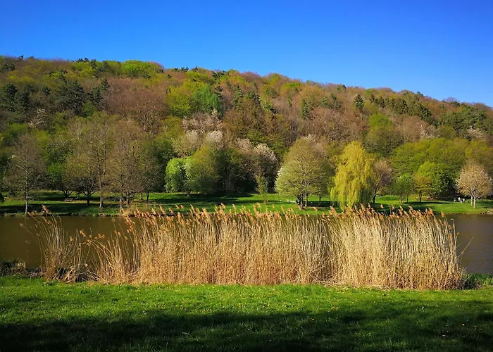 Schnegge-eck Direkt Am Klingbachrad- Und Spazierweg Apartamento Silz (Rhineland-Palatinate)
